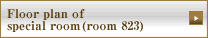 Floor plan of special room (room 823)